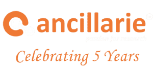 Ancillarie LLP