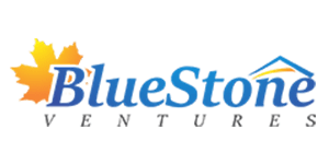 Blue Stone Ventures